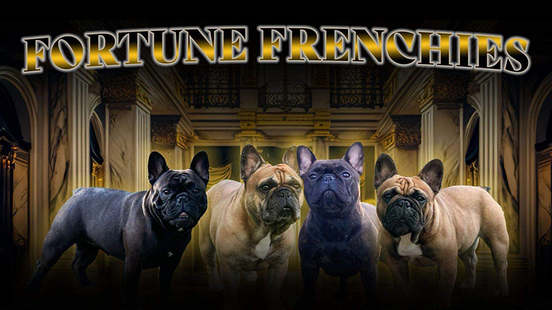 Wine Quest Sponsor - McGriff Insurance